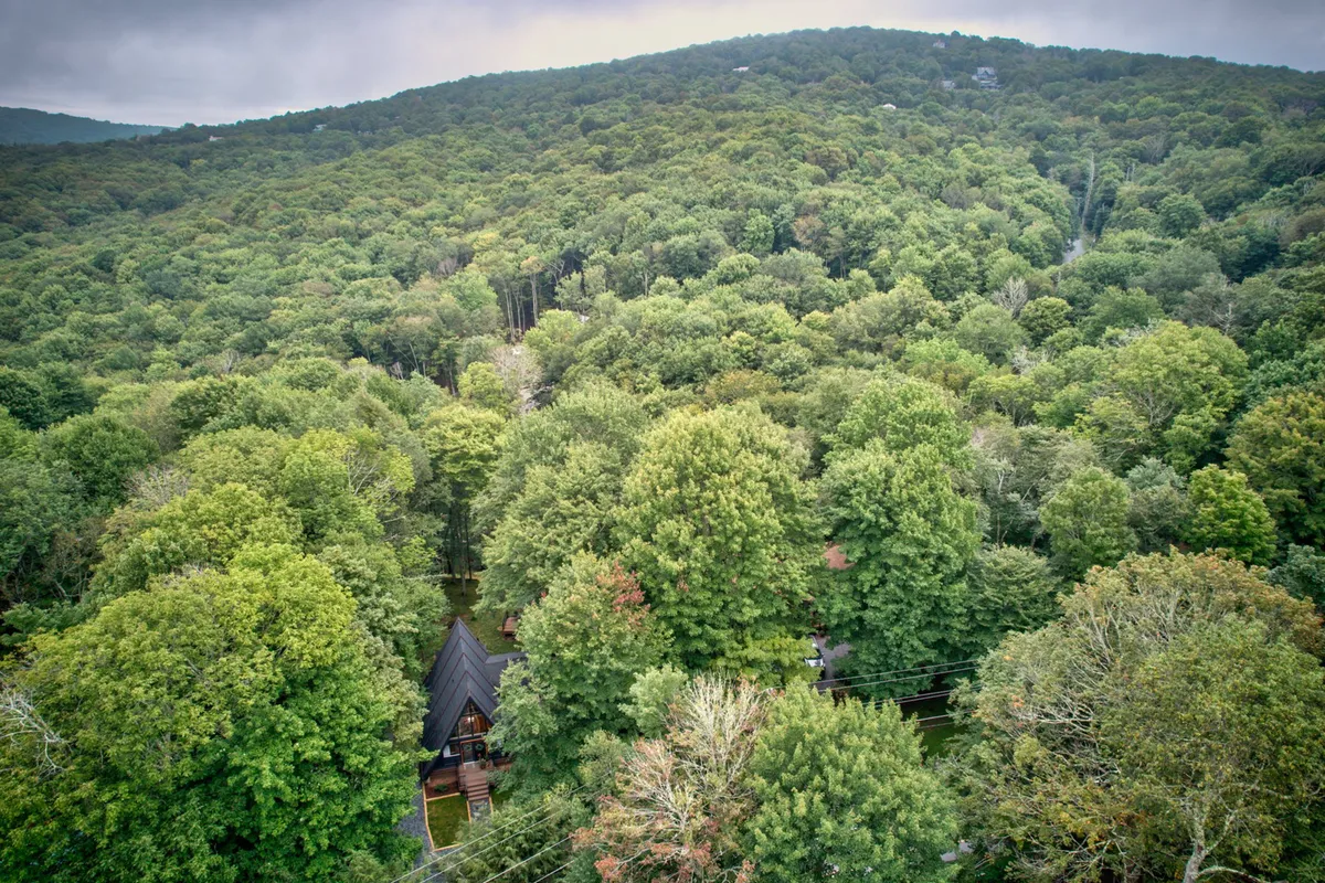 A wide view of the property nestled among trees, with a mountain rising in the background. The house sits at the heart of a serene, natural landscape, inviting exploration and adventure.